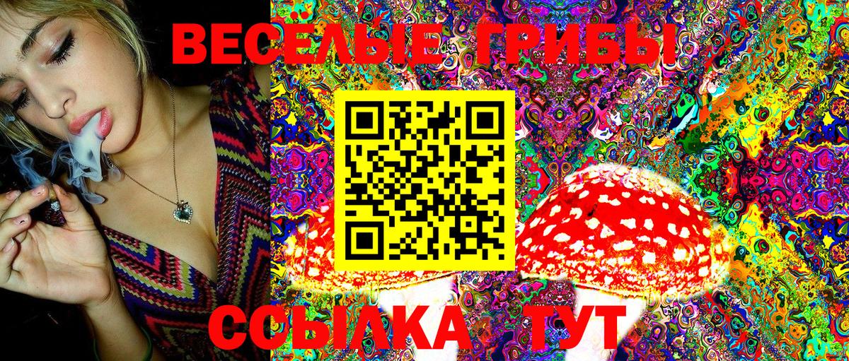 Псилоцибиновые грибы MAGIC MUSHROOMS Выборг