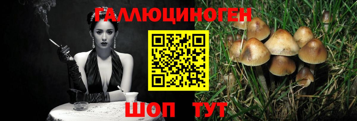 Выборг  Галлюциногенные грибы Magic Shrooms  цена наркотик  Вход с VPN 