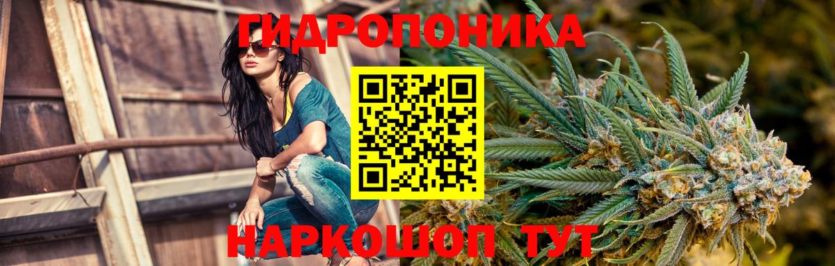 Марихуана индика  Шишки марихуана SATIVA & INDICA  МАРИХУАНА White Widow  Вход с VPN  Выборг 